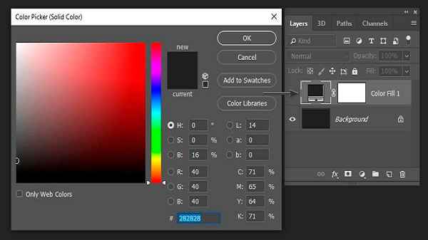 Understanding the Basics How to Change Background Color in Photoshop